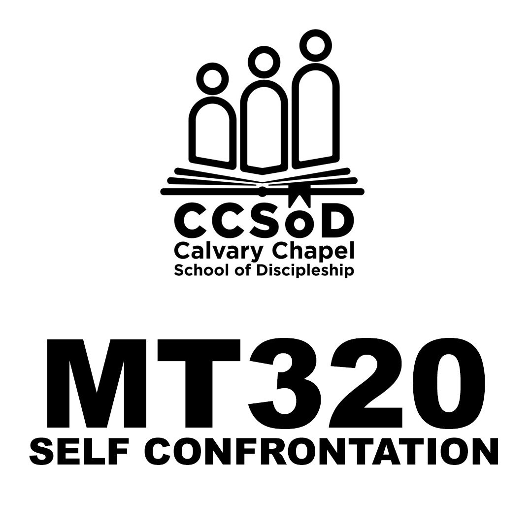 MT320 SELF CONFRONTATION